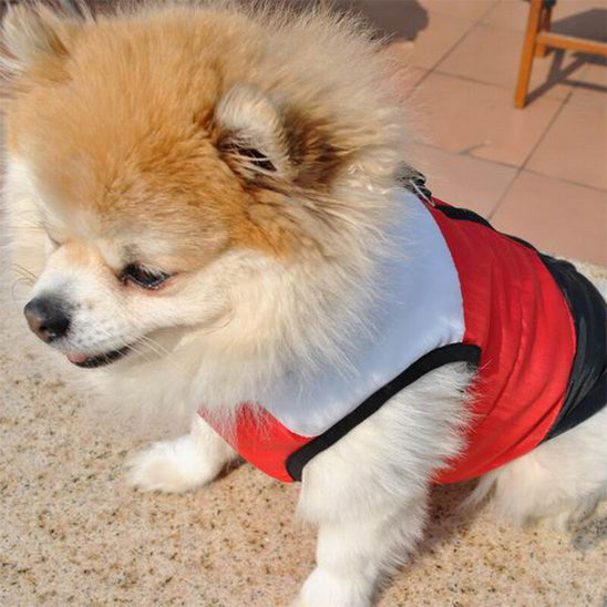 manteau chien trois couleurs