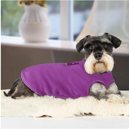 manteau chien violet 1