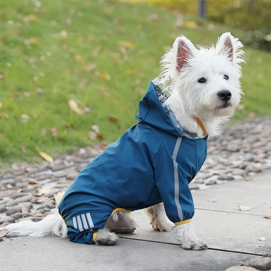 manteau pour chien assis bleu