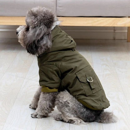 manteau pour chien assis parquet