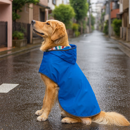 manteau pour chien assis rue