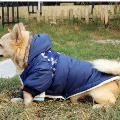 manteau pour chien bleu allonger