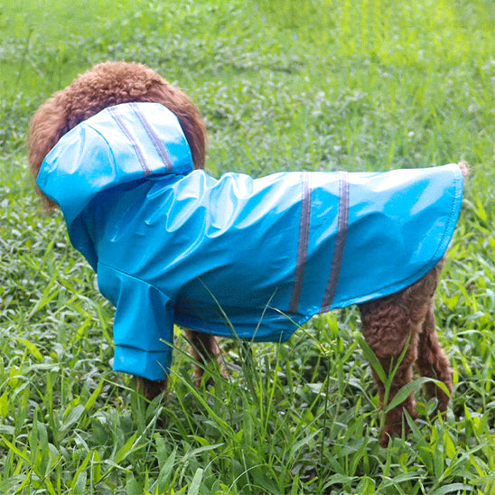 manteau pour chien bleu champ