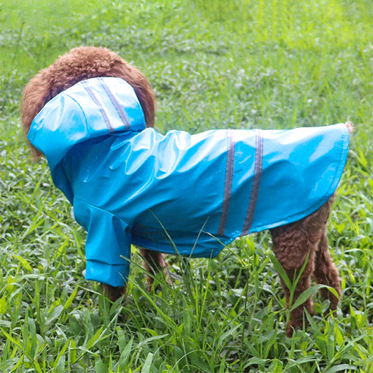 manteau pour chien bleu champ