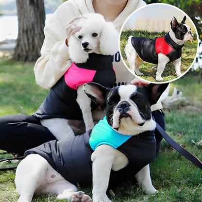 manteau pour chien bleu rose