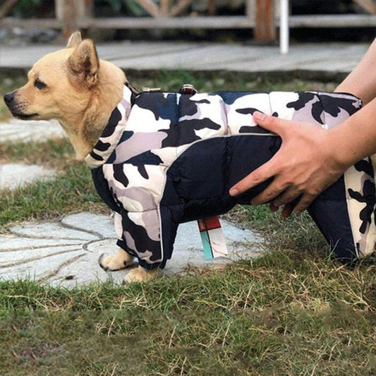 manteau pour chien combinaison bleu camouflage