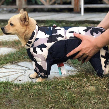 manteau pour chien combinaison bleu
