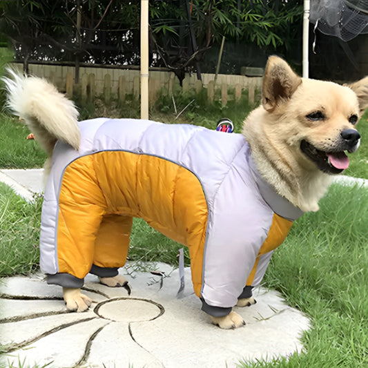 manteau pour chien combinaison gris orange