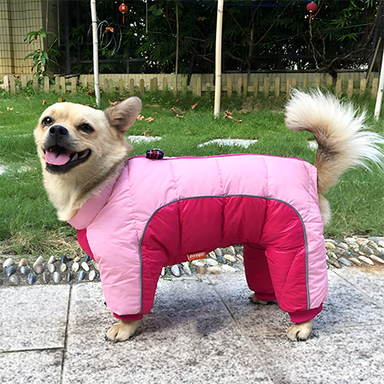 manteau pour chien combinaison rose rouge