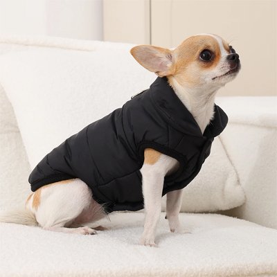 Manteau pour Chien coupe vent petit chien