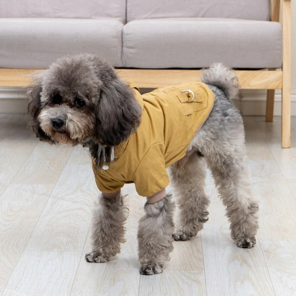 manteau pour chien debout