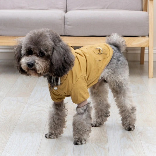 manteau pour chien debout