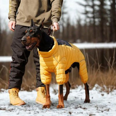Manteau pour chien doudoune jaune