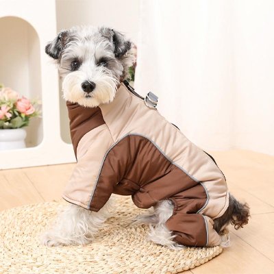 Manteau pour Chien doux et confortable