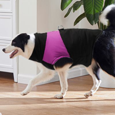manteau pour chien herbe fuchia