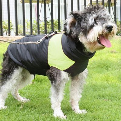 manteau pour chien herbe vert