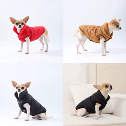 Manteau pour chien imperméable couleurs