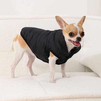 Manteau pour Chien imperméable petit chien