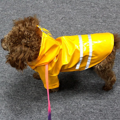 manteau pour chien jaune route