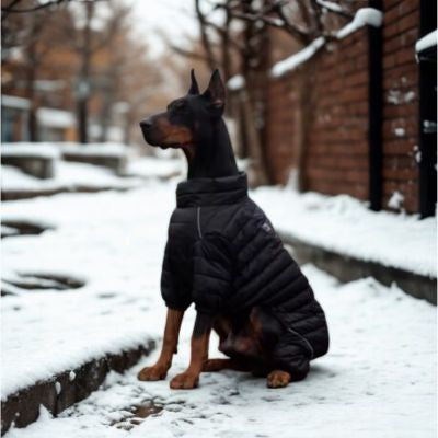 Manteau pour chien noir matelassé chaud