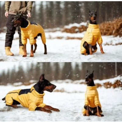 Manteau pour chien protection confortable hivernale
