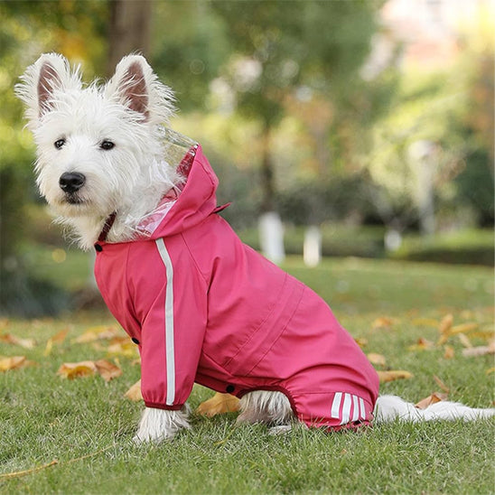 manteau pour chien rose herbe