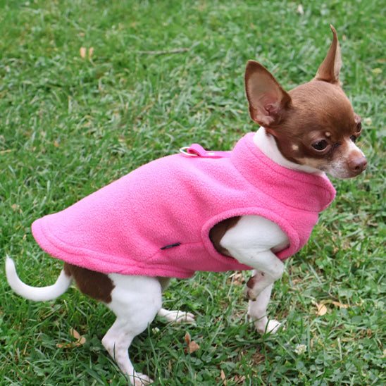 manteau pour chien rose terrain