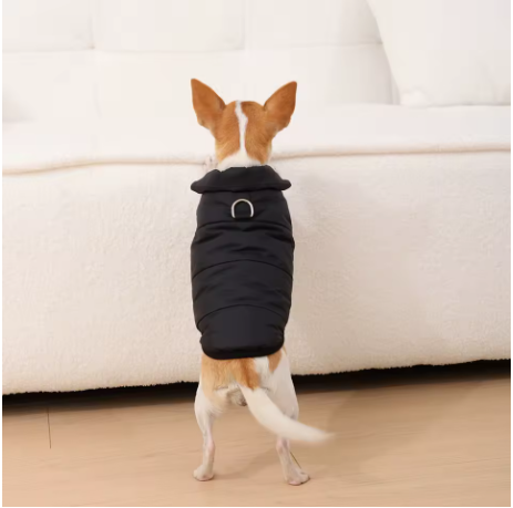 Manteau pour chien spécial hiver