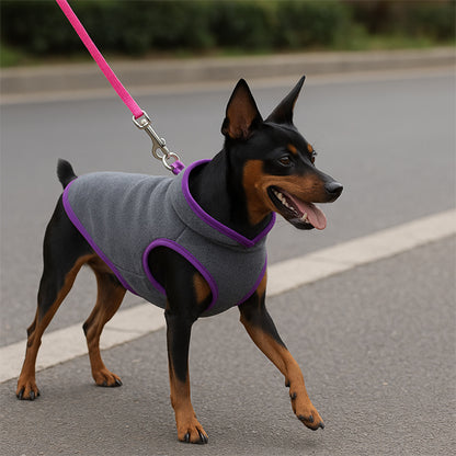 manteau pour chien traverse rue