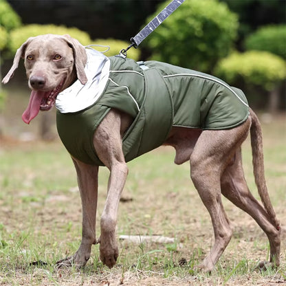 manteau pour chien vert campagne