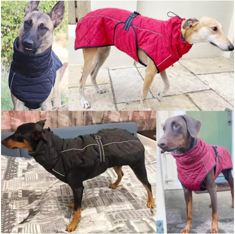 Manteaux pour chien anti froid
