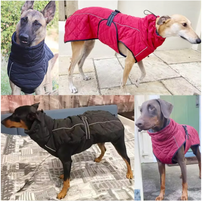 Manteaux pour chien anti froid