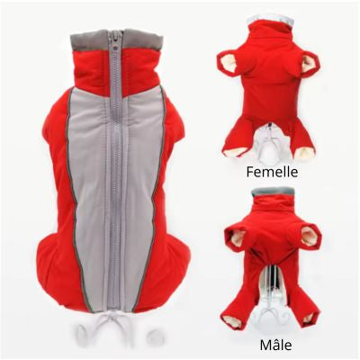 Manteaux pour chien combinaison femelle mâle