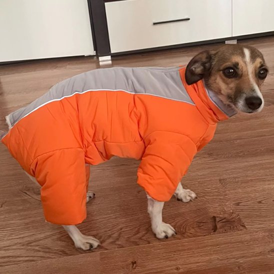 Manteaux pour chien combinaison imperméable