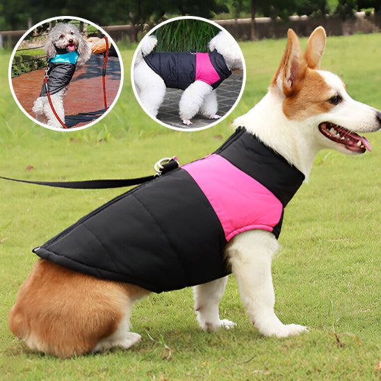 Manteaux pour chien confort thermique anneaux 