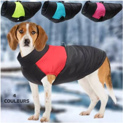Manteaux pour chien déperlant couleurs