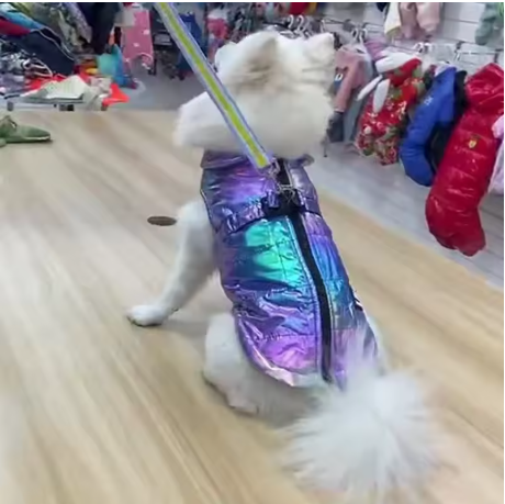 Manteaux pour chien doux chaud