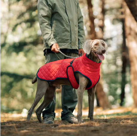 Manteaux pour chien ergonomique chaud