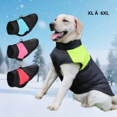 Manteaux pour chien grande taille