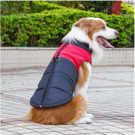 Manteaux pour chien matelassé rouge