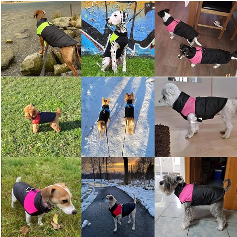 Manteaux pour chien polyester matelassé