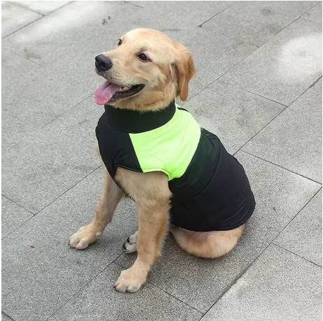 Manteaux pour chien rembourré chaud vert
