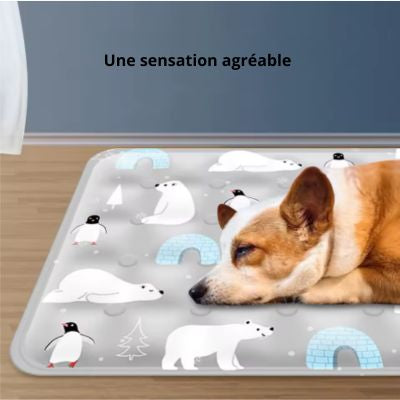 Meilleur tapis rafraichissant pour chien sensation fraicheur