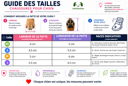 Mesure chaussure chien titan beige