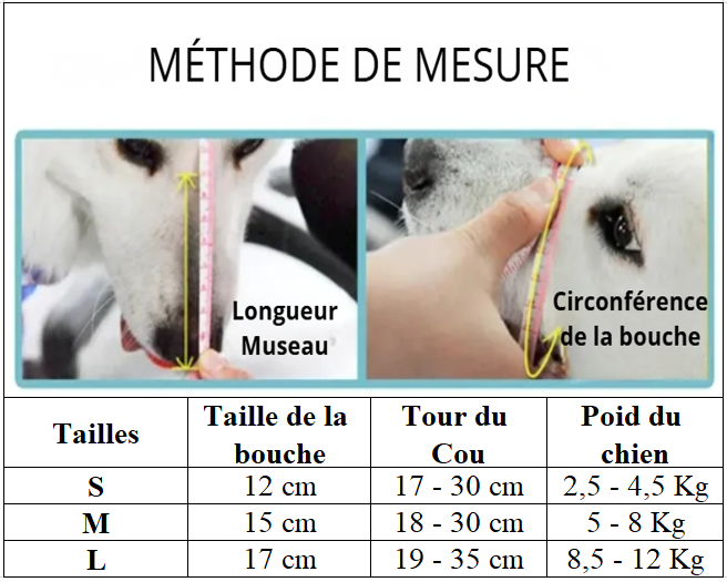 Méthode mesure muselière chien silicone