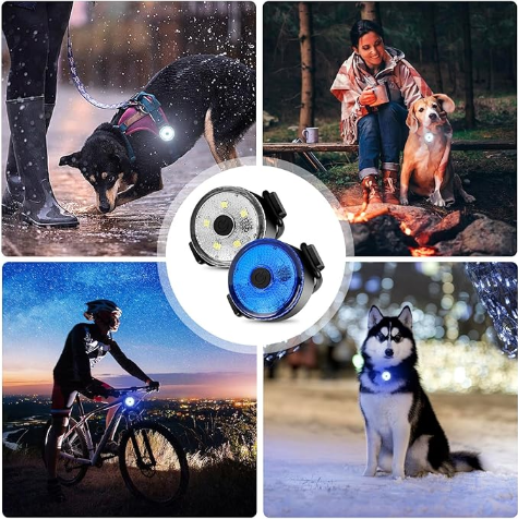 Mobilité collier chien nuit