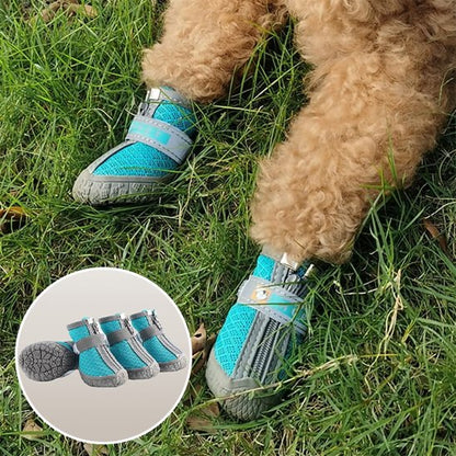 Modèle de chaussure chien dans l'herbe
