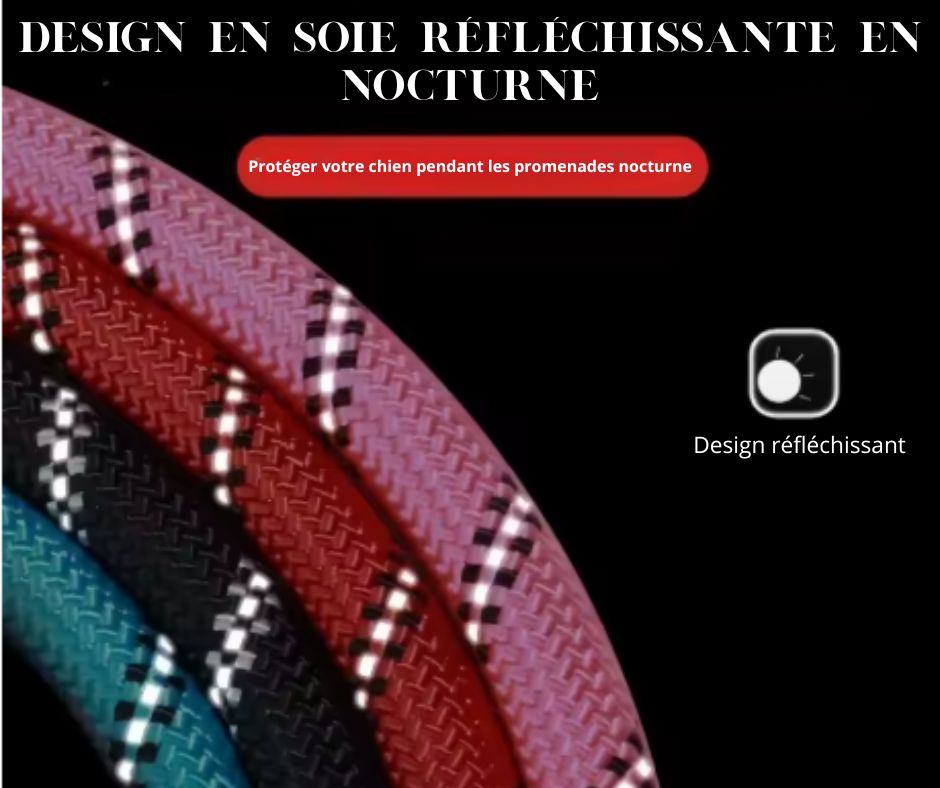 modele laisse pour chien reflechissante