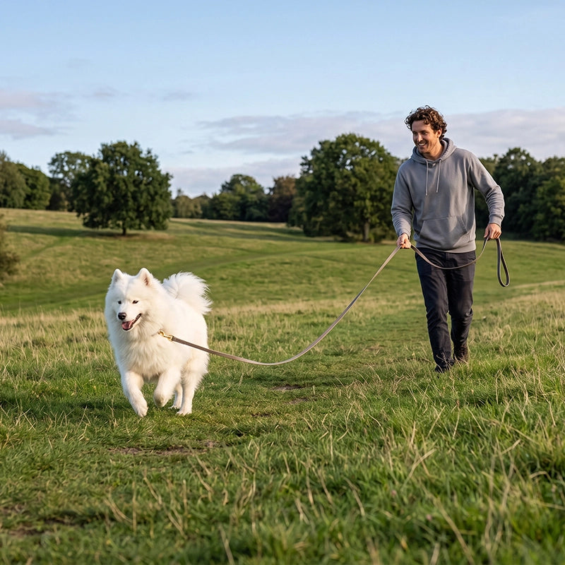 Moments partager maître chien nature balade longe pour chien