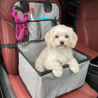 Mon ChienBord Siege auto pour chien rembourré